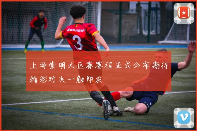 上海崇明大区赛赛程正式公布期待精彩对决一触即发